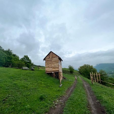 Tumanyan Alereks Mountain Camping מראה חיצוני תמונה